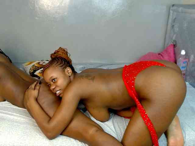 Royal309 webcam