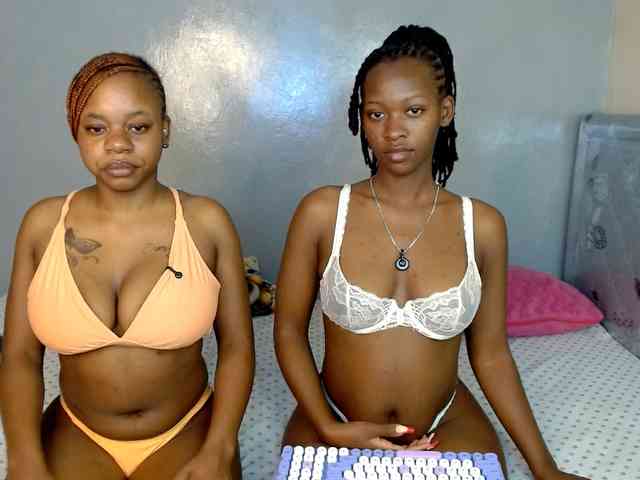 Royal309 webcam