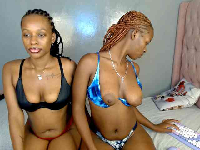 Royal309 webcam