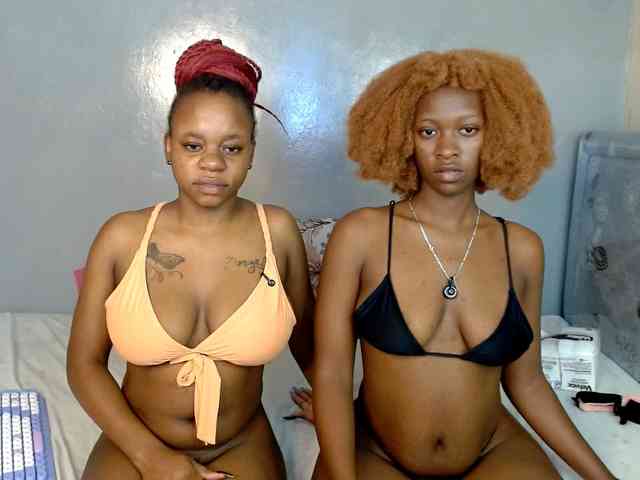 Royal309 webcam