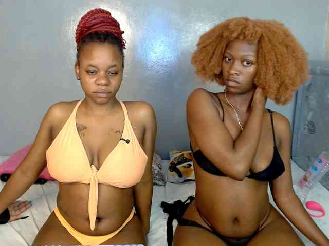 Royal309 webcam