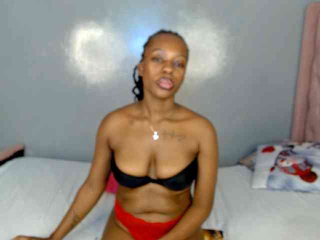 Royal309 webcam