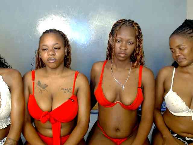 Royal309 webcam