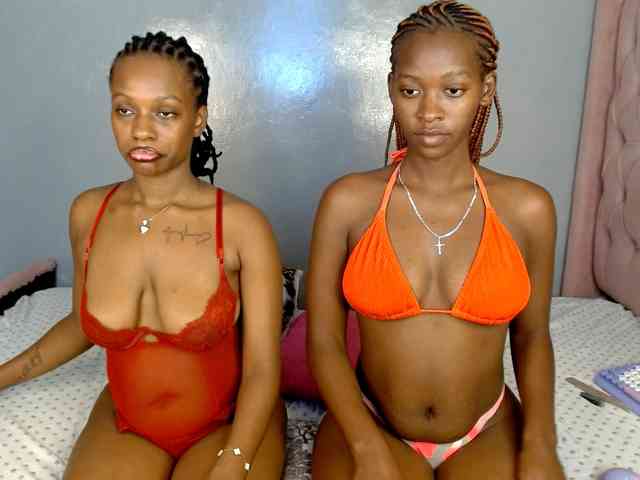 Royal309 webcam