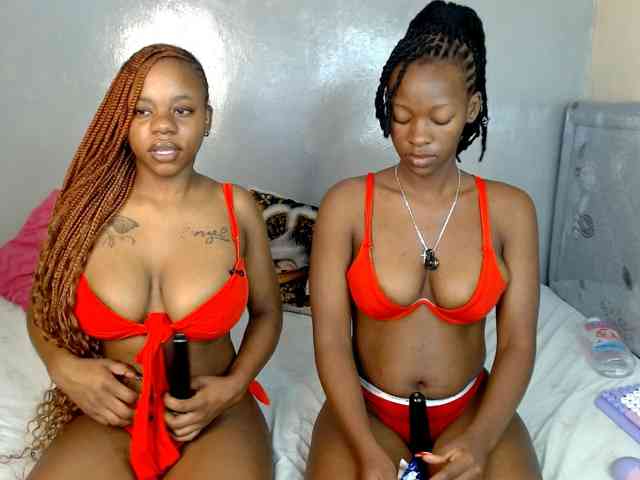 Royal309 webcam