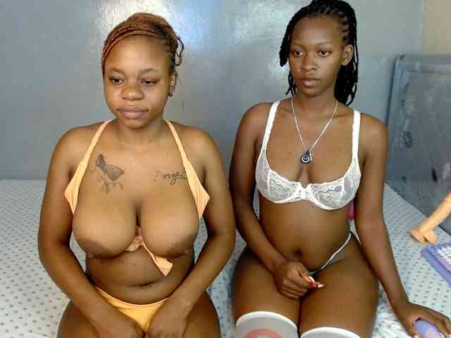 Royal309 webcam