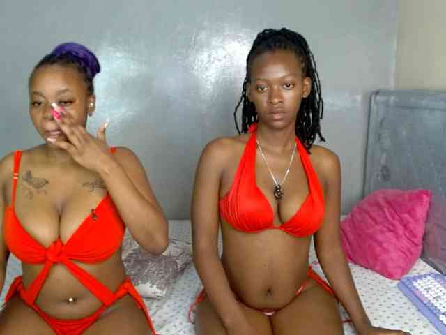 Royal309 webcam