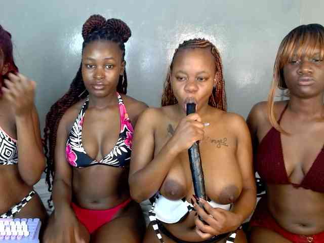 Royal309 webcam