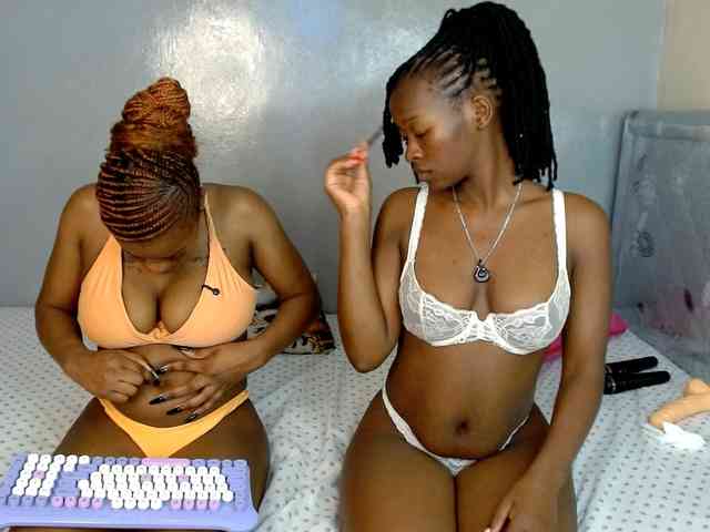 Royal309 webcam