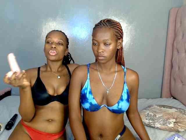 Royal309 webcam