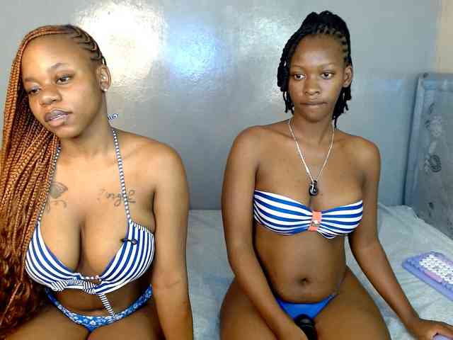 Royal309 webcam