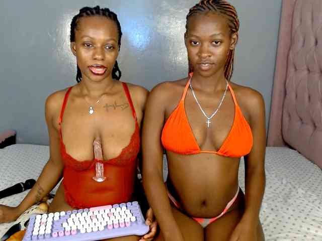 Royal309 webcam