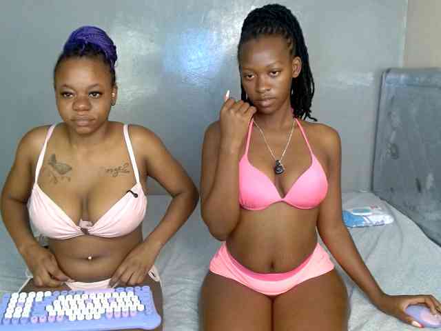 Royal309 webcam