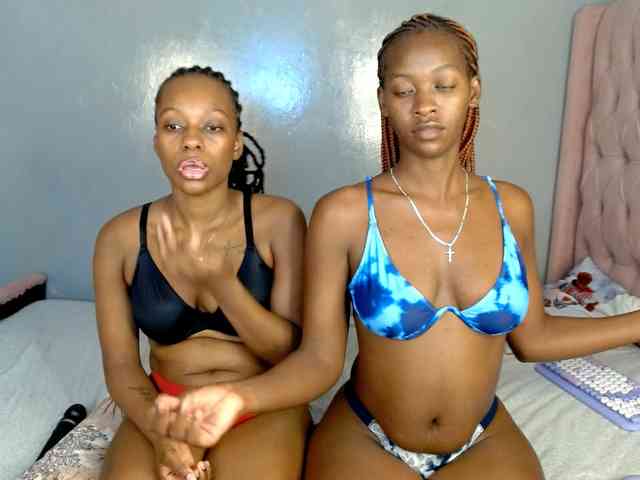 Royal309 webcam