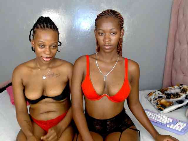 Royal309 webcam