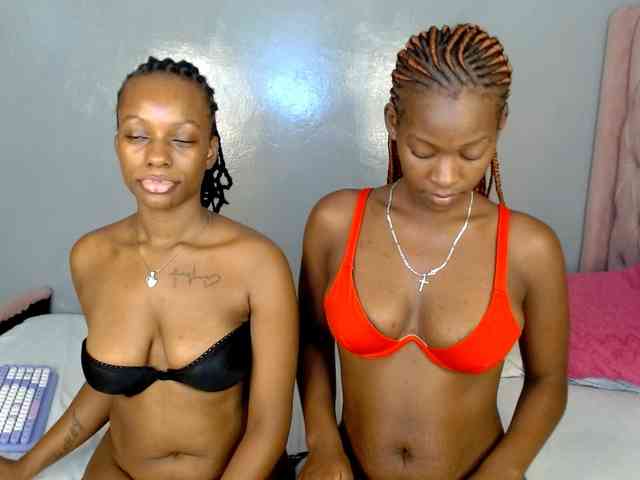 Royal309 webcam
