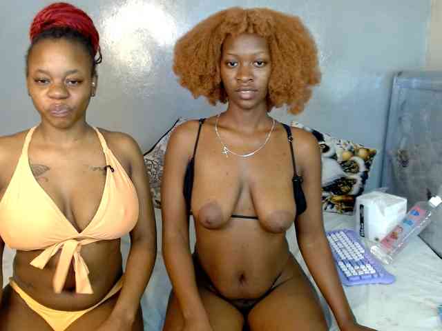 Royal309 webcam