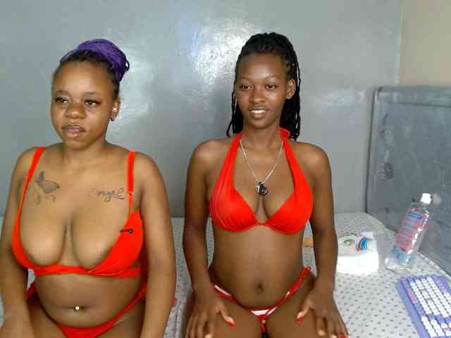 Royal309 webcam