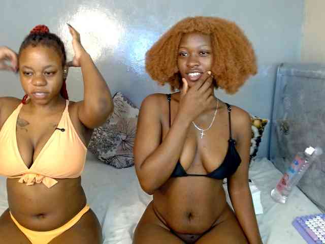 Royal309 webcam
