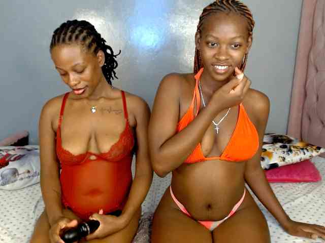 Royal309 webcam