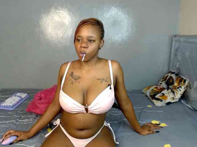 Royal309 webcam