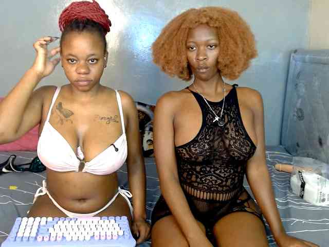 Royal309 webcam