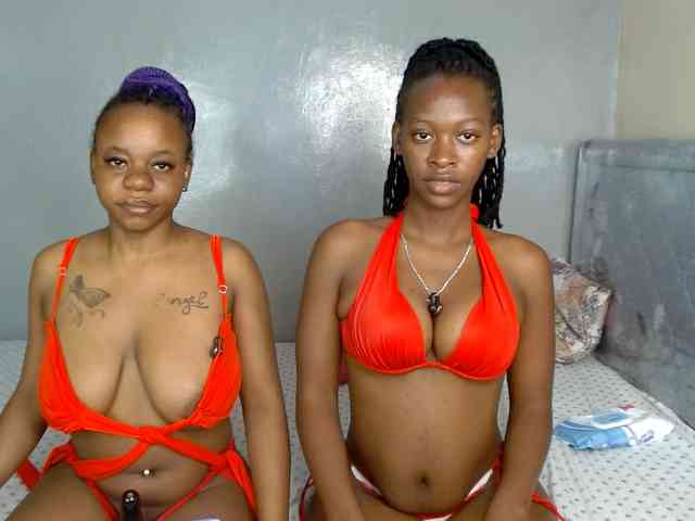 Royal309 webcam