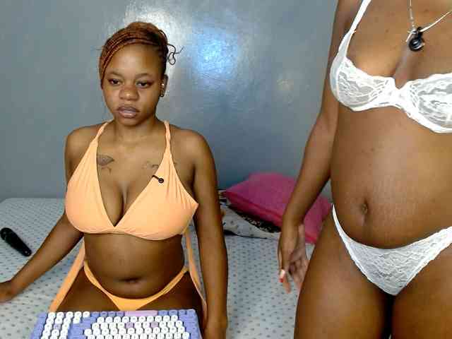 Royal309 webcam