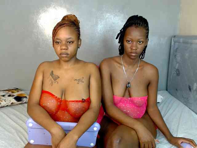 Royal309 webcam