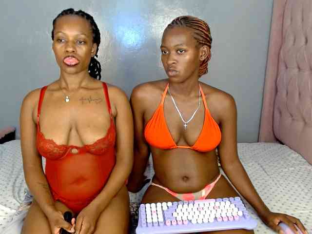 Royal309 webcam