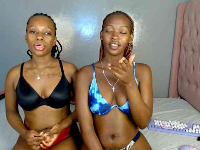 Royal309 webcam
