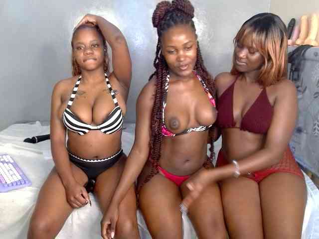 Royal309 Sex Cam Show