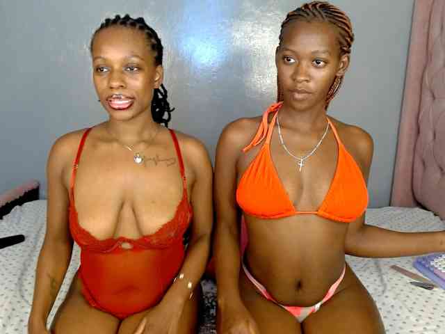 Royal309 webcam