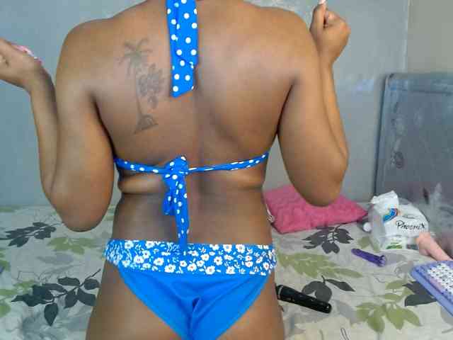 Royal309 webcam