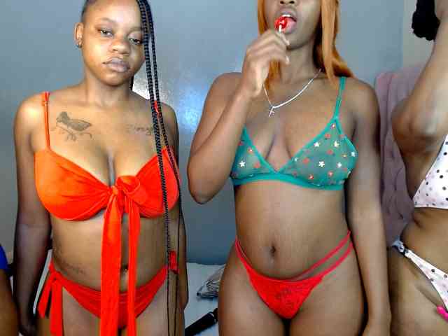 Royal309 Sex Cam Show