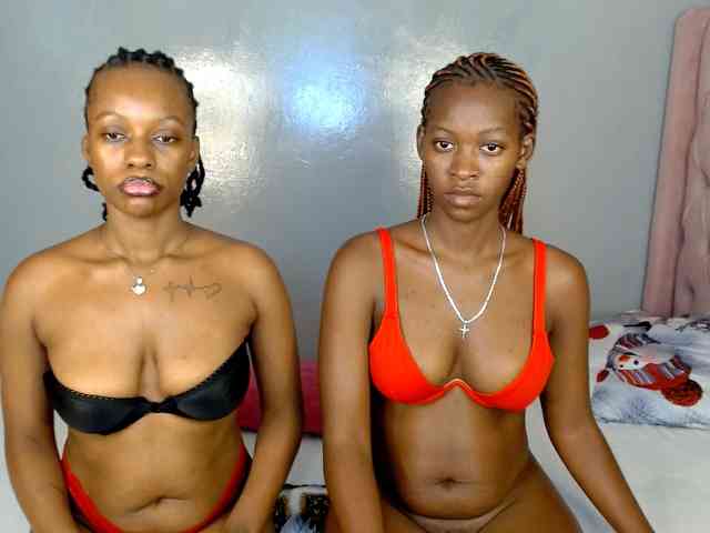 Royal309 webcam