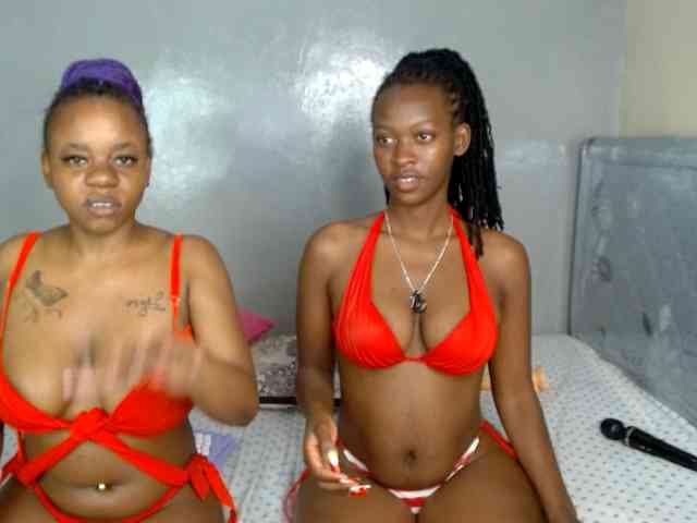Royal309 webcam