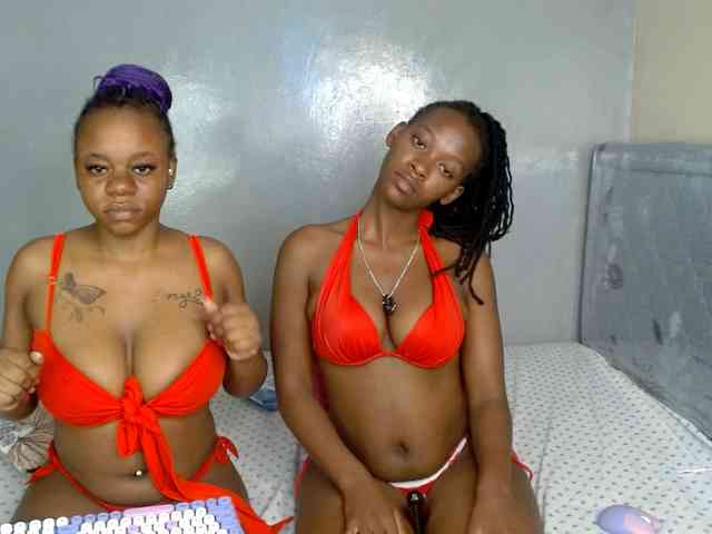 Royal309 webcam
