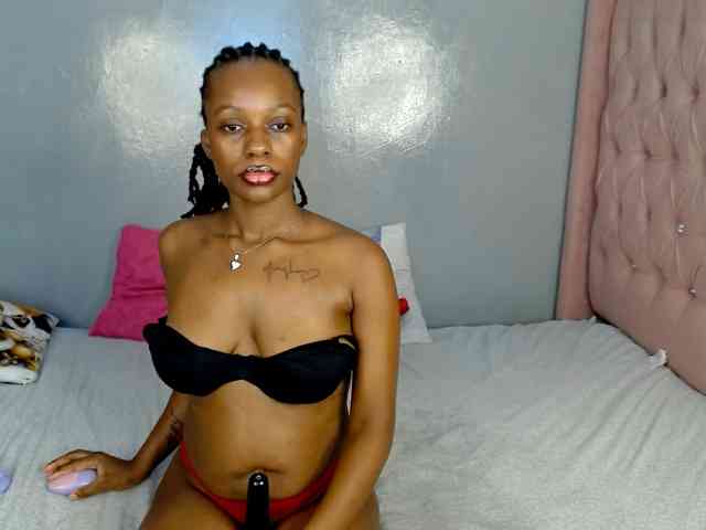 Royal309 webcam