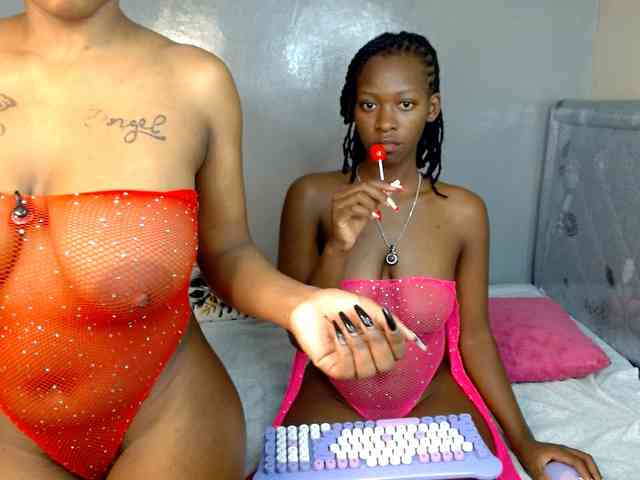 Royal309 webcam