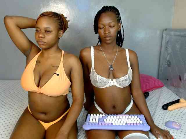 Royal309 webcam