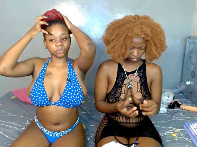 Royal309 webcam