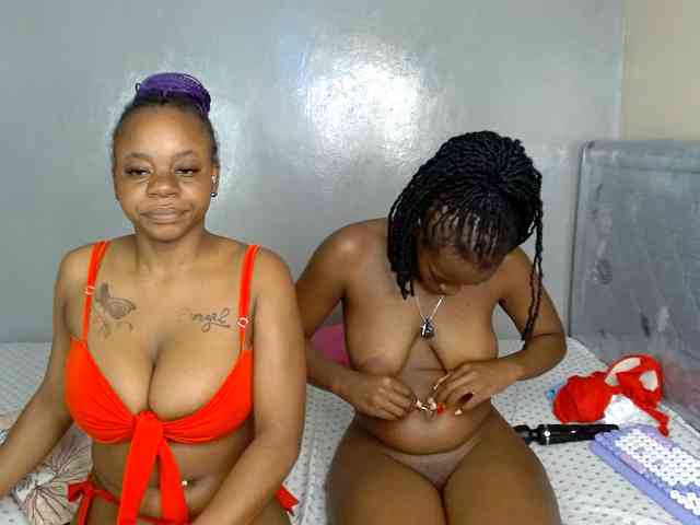 Royal309 webcam