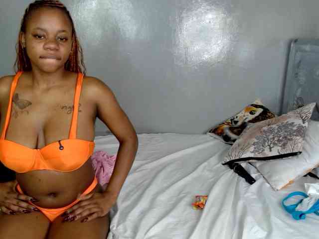 Royal309 webcam