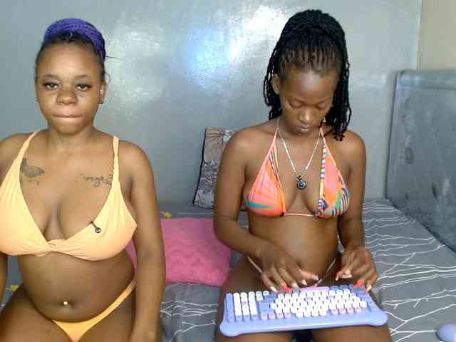 Royal309 webcam