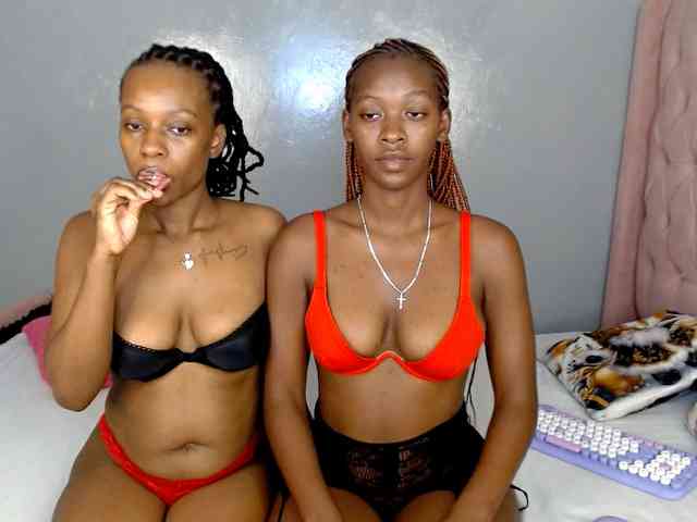Royal309 webcam