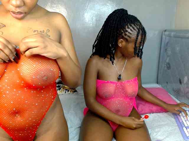 Royal309 webcam