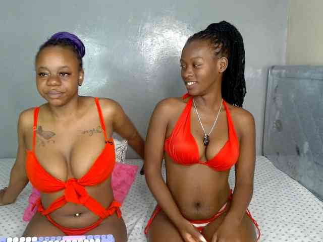Royal309 webcam