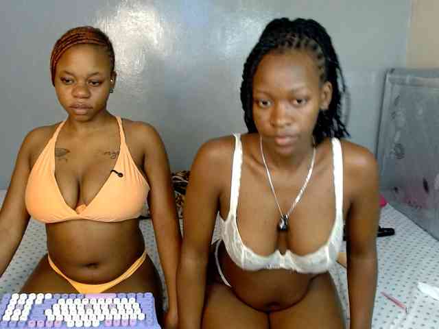 Royal309 webcam