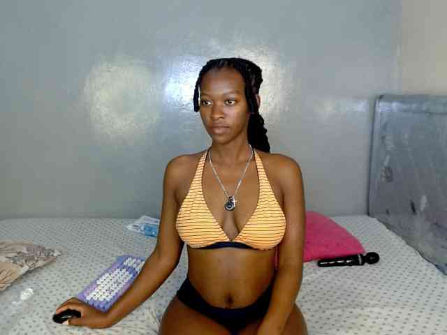 Royal309 webcam
